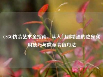 CSGO伪装艺术全指南，从入门到精通的隐身实用技巧与徽章装备方法