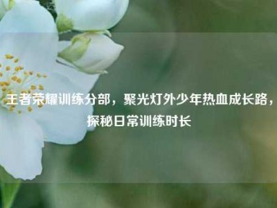 王者荣耀训练分部，聚光灯外少年热血成长路，探秘日常训练时长