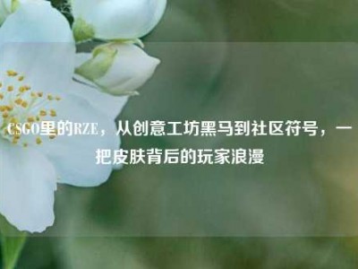 CSGO里的RZE，从创意工坊黑马到社区符号，一把皮肤背后的玩家浪漫