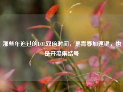 那些年追过的LOL双倍时间，是青春加速键，也是开黑集结号
