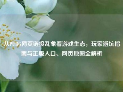 从PUBG网页链接乱象看游戏生态，玩家避坑指南与正版入口、网页地图全解析