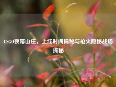 CSGO夜幕山庄，上线时间揭秘与枪火隐秘战场探秘
