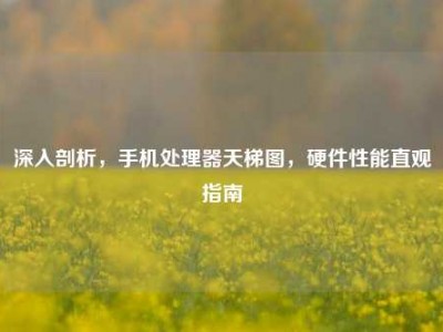 深入剖析，手机处理器天梯图，硬件性能直观指南