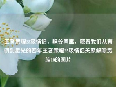 王者荣耀25级情侣，峡谷风里，藏着我们从青铜到星光的四年王者荣耀25级情侣关系解除贵族10的图片