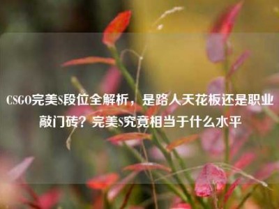 CSGO完美S段位全解析，是路人天花板还是职业敲门砖？完美S究竟相当于什么水平