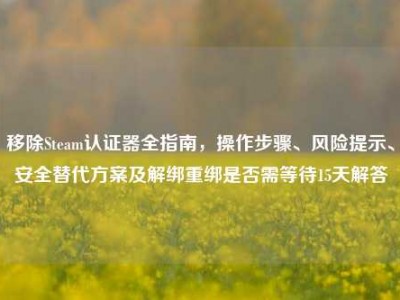 移除Steam认证器全指南，操作步骤、风险提示、安全替代方案及解绑重绑是否需等待15天解答