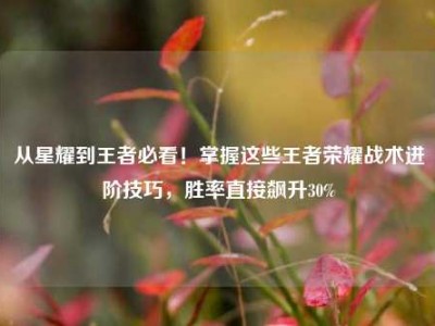 从星耀到王者必看！掌握这些王者荣耀战术进阶技巧，胜率直接飙升30%