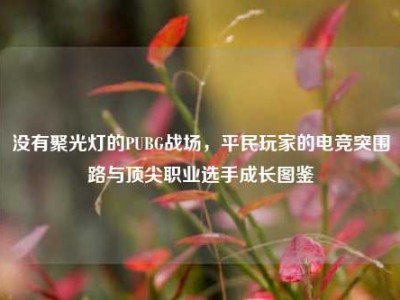 没有聚光灯的PUBG战场，平民玩家的电竞突围路与顶尖职业选手成长图鉴