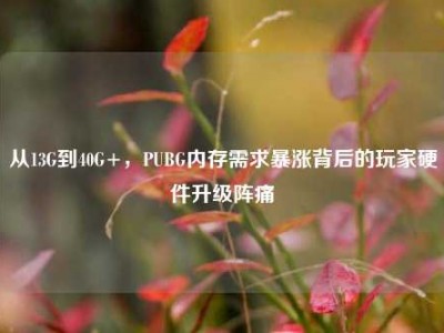 从13G到40G+，PUBG内存需求暴涨背后的玩家硬件升级阵痛