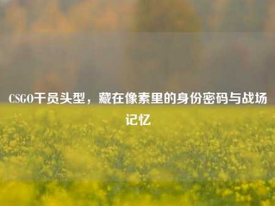 CSGO干员头型，藏在像素里的身份密码与战场记忆