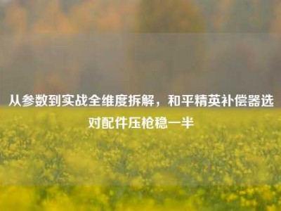 从参数到实战全维度拆解，和平精英补偿器选对配件压枪稳一半