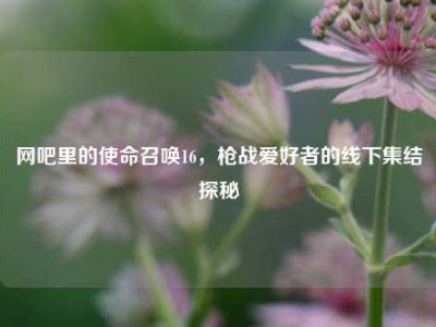 网吧里的使命召唤16，枪战爱好者的线下集结探秘