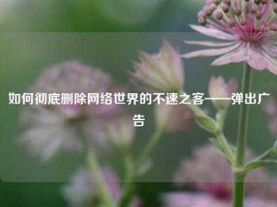 如何彻底删除网络世界的不速之客——弹出广告