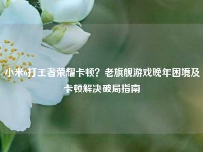 小米6打王者荣耀卡顿？老旗舰游戏晚年困境及卡顿解决破局指南