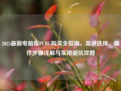 2025最新电脑版PUBG购买全指南，渠道选择、操作步骤详解与实用避坑攻略