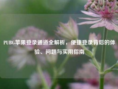 PUBG苹果登录通道全解析，便捷登录背后的体验、问题与实用指南