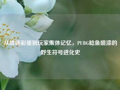 从战场彩蛋到玩家集体记忆，PUBG鲶鱼喷漆的野生符号进化史