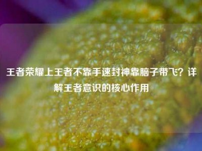 王者荣耀上王者不靠手速封神靠脑子带飞？详解王者意识的核心作用