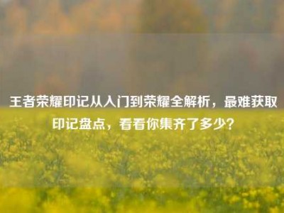 王者荣耀印记从入门到荣耀全解析，最难获取印记盘点，看看你集齐了多少？