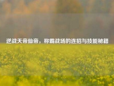 逆战天帝仙帝，称霸战场的连招与技能秘籍