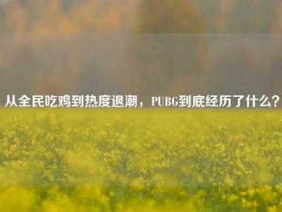 从全民吃鸡到热度退潮，PUBG到底经历了什么？
