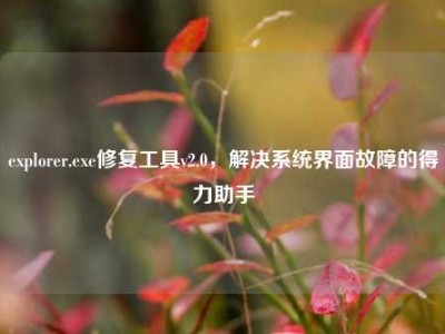 explorer.exe修复工具v2.0，解决系统界面故障的得力助手