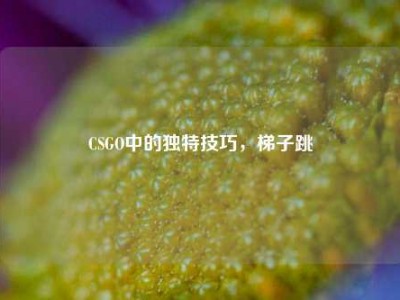 CSGO中的独特技巧，梯子跳