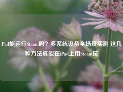 Pad能运行Steam吗？多系统设备全场景实测 这几种方法真能在iPad上用Steam玩