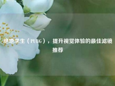 绝地求生（PUBG），提升视觉体验的最佳滤镜推荐