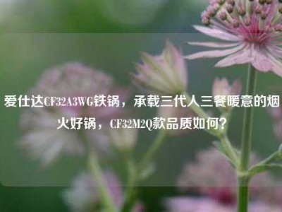 爱仕达CF32A3WG铁锅，承载三代人三餐暖意的烟火好锅，CF32M2Q款品质如何？