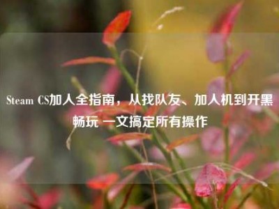 Steam CS加人全指南，从找队友、加人机到开黑畅玩 一文搞定所有操作