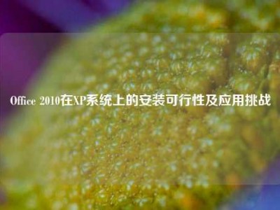 Office 2010在XP系统上的安装可行性及应用挑战