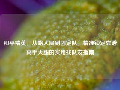 和平精英，从路人局到固定队，精准锁定靠谱高手大腿的实用找队友指南