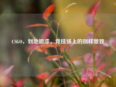 CSGO，划地喷漆，竞技场上的别样景致