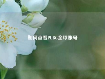 如何查看PUBG全球账号