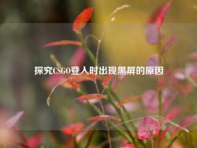 探究CSGO登入时出现黑屏的原因