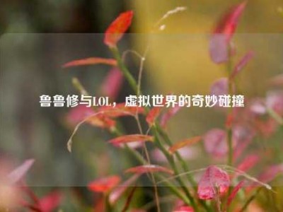 鲁鲁修与LOL，虚拟世界的奇妙碰撞