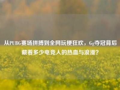 从PUBG赛场拼搏到全网玩梗狂欢，Gg夺冠背后藏着多少电竞人的热血与浪漫？