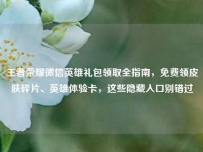 王者荣耀微信英雄礼包领取全指南，免费领皮肤碎片、英雄体验卡，这些隐藏入口别错过
