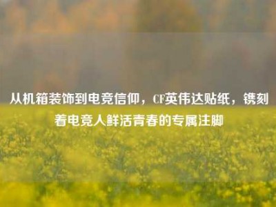 从机箱装饰到电竞信仰，CF英伟达贴纸，镌刻着电竞人鲜活青春的专属注脚