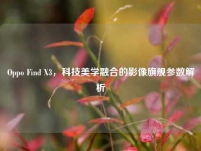 Oppo Find X3，科技美学融合的影像旗舰参数解析