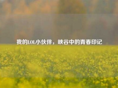 我的LOL小伙伴，峡谷中的青春印记