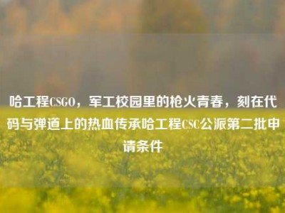 哈工程CSGO，军工校园里的枪火青春，刻在代码与弹道上的热血传承哈工程CSC公派第二批申请条件
