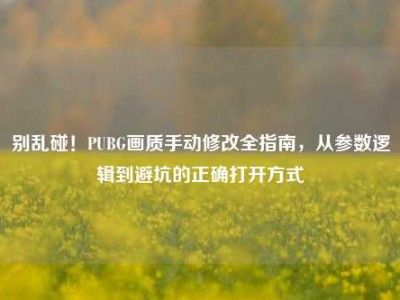 别乱碰！PUBG画质手动修改全指南，从参数逻辑到避坑的正确打开方式