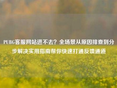 PUBG客服网站进不去？全场景从原因排查到分步解决实用指南帮你快速打通反馈通道