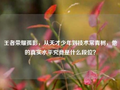 王者荣耀孤影，从天才少年到技术常青树，他的真实水平究竟是什么段位？