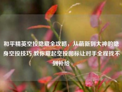 和平精英空投隐藏全攻略，从萌新到大神的隐身空投技巧 教你藏起空投图标让对手全程找不到补给