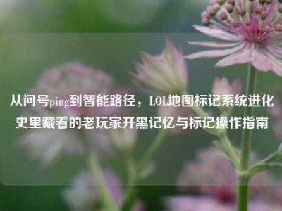 从问号ping到智能路径，LOL地图标记系统进化史里藏着的老玩家开黑记忆与标记操作指南