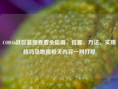 COD16战区蓝图查看全指南，位置、方法、实用技巧及地图相关内容一网打尽