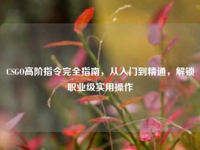 CSGO高阶指令完全指南，从入门到精通，解锁职业级实用操作